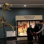 Sivas Tabiat Tarihi Müzesi ziyaretçilerini bekliyor