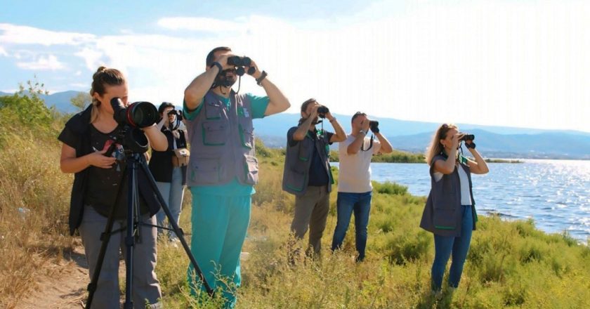 İzmit Körfezi’nde flamingo popülasyonu arttı