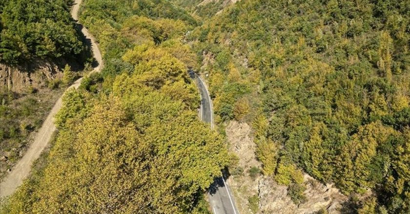 Tekirdağ’da Ganos Dağı eteklerinde sonbahar güzelliği