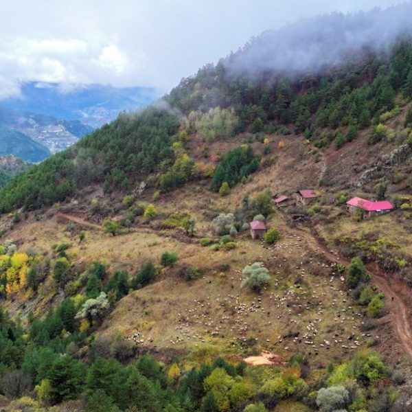 Zigana Dağı sonbahar renklerine büründü