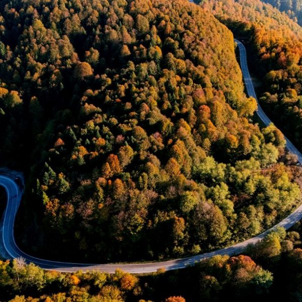 Sonbahar mevsiminin renkleri Pine Mountain’a hakim oldu