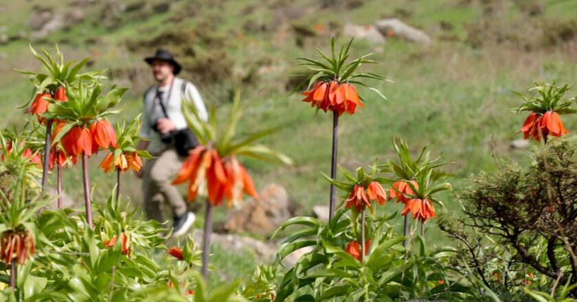 Hakkari’deki Şivişk Vadisi büyük ilgi görüyor
