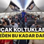 Uçak Koltukları Neden Bu Kadar Dar?