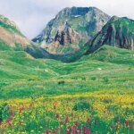 Yeşilin 50 tonu – Turizm Haberleri
