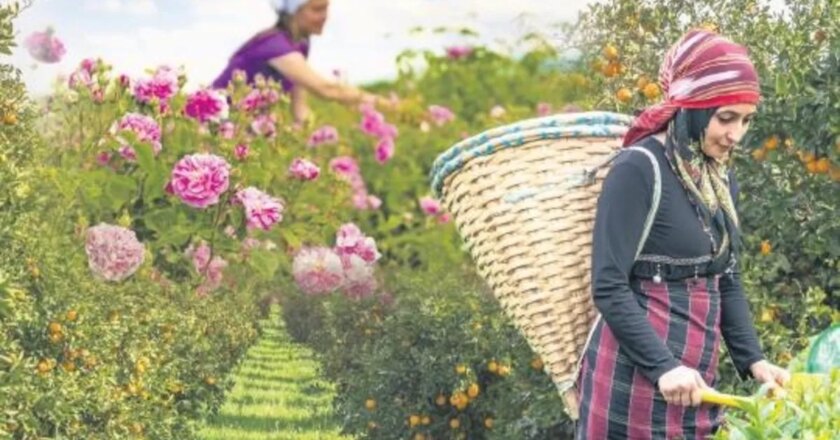 Toprağın peşinde…