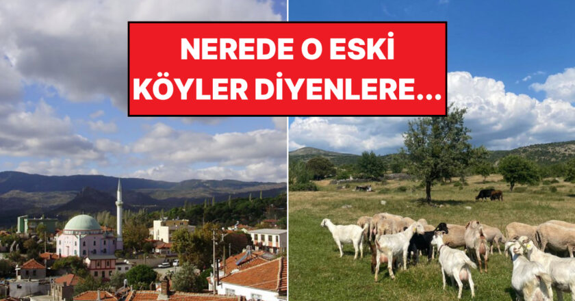 Orda Bir Köy Var Uzakta: İzmir’in Eşi Benzeri Olmayan Köyü Sizi Bekliyor